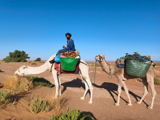 Excursion Contes du Desert-迈哈米德必去景点