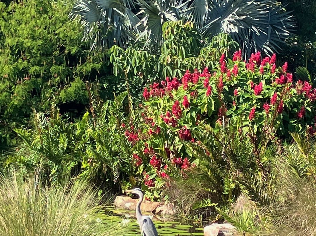 Peace River Botanical & Sculpture Gardens-蓬塔戈尔达必去景点