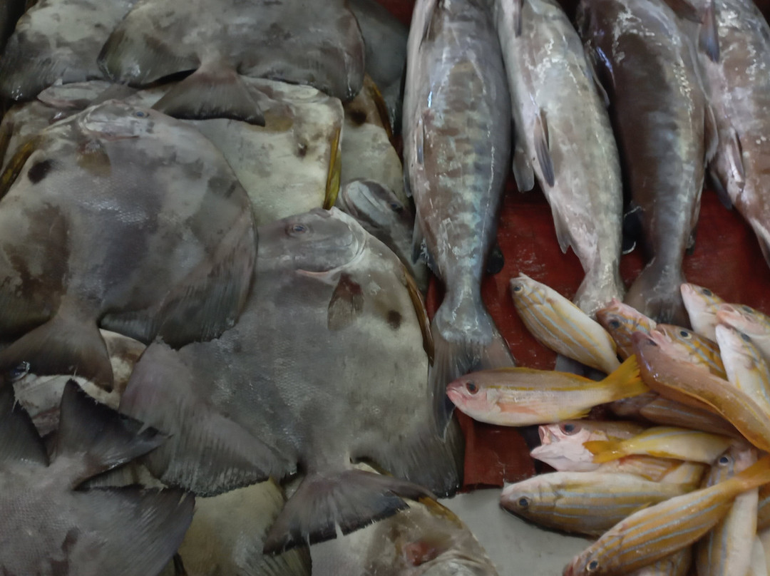 Mutrah Fish Market-马斯喀特必去景点