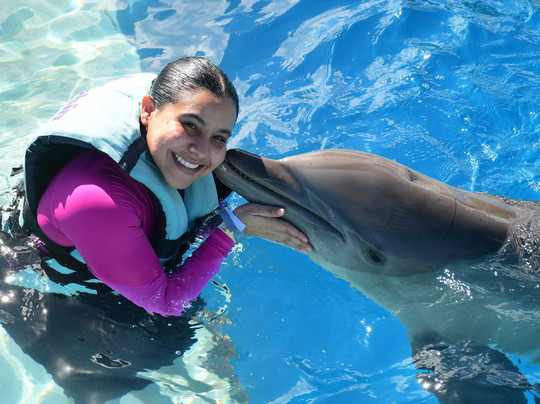 Dolphin Discovery Punta Cana-Higuey必去景点