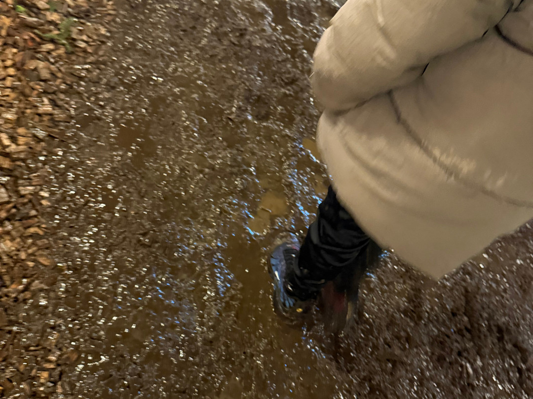 Audley End Miniature Railway-Saffron Walden必去景点