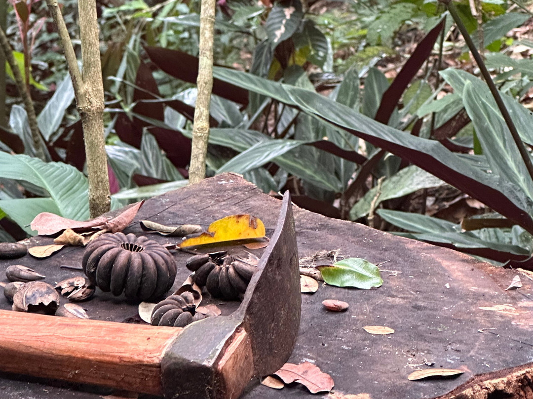 Green Acres Chocolate Farm and Nature Preserve-Cerro Brujo必去景点