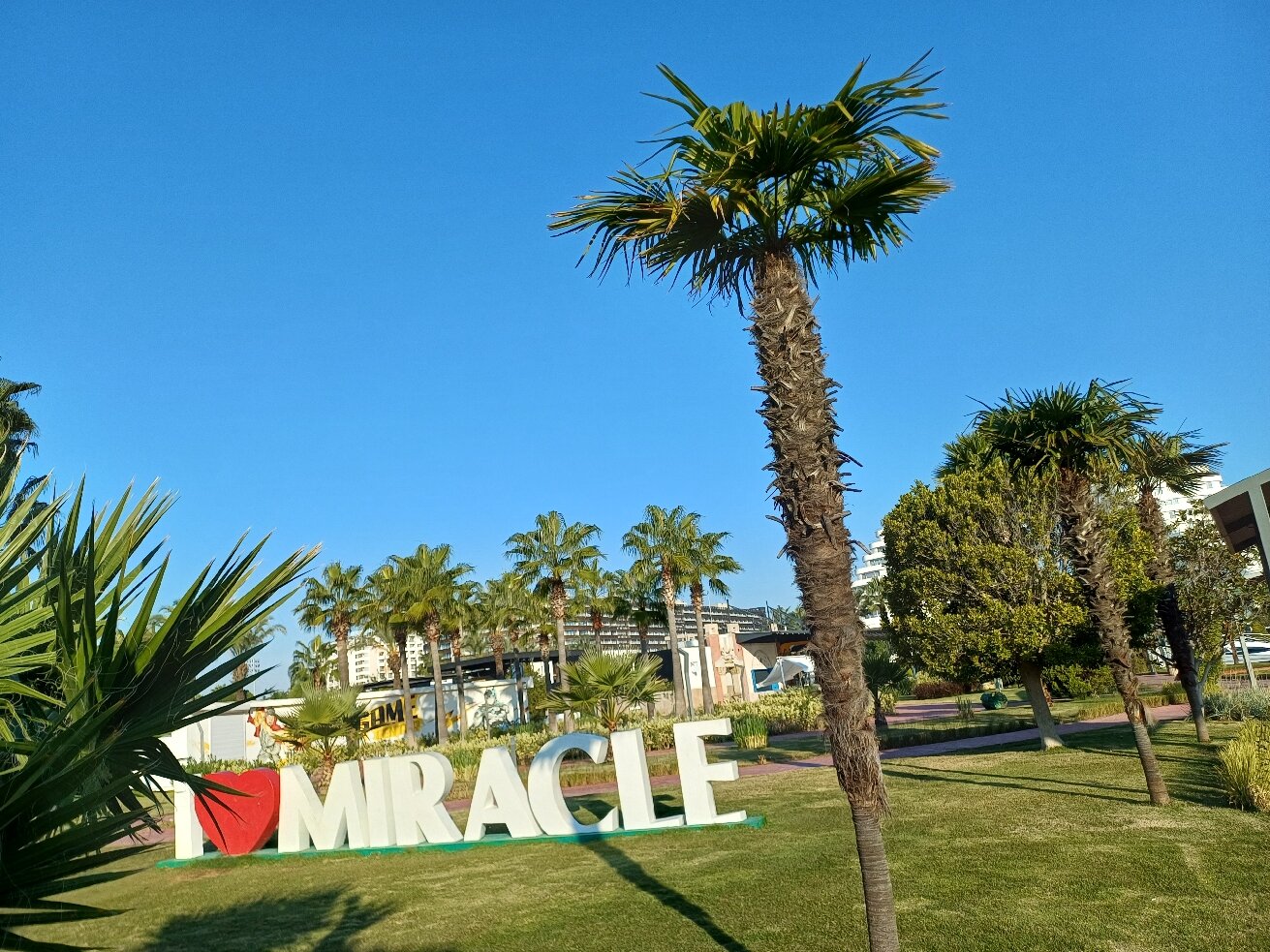 Miracle Resort Hotel-官方