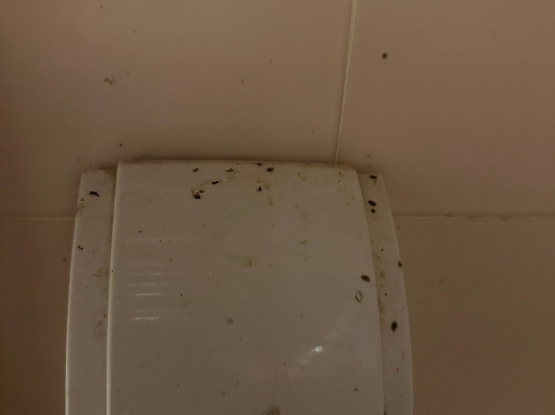 碧差汶府船屋天堂度假村主图