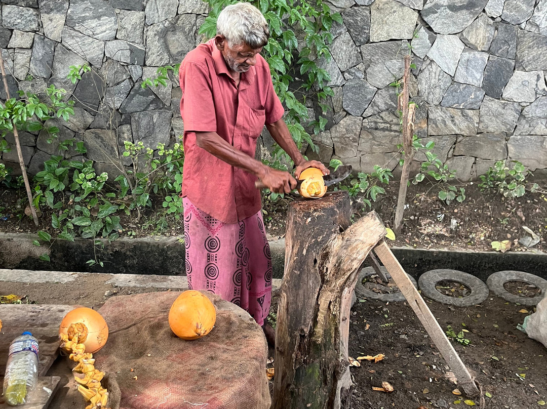 Nature Paradise Travels-科伦坡必去景点