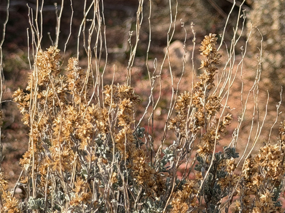Sacred Edge Tours-佩吉必去景点