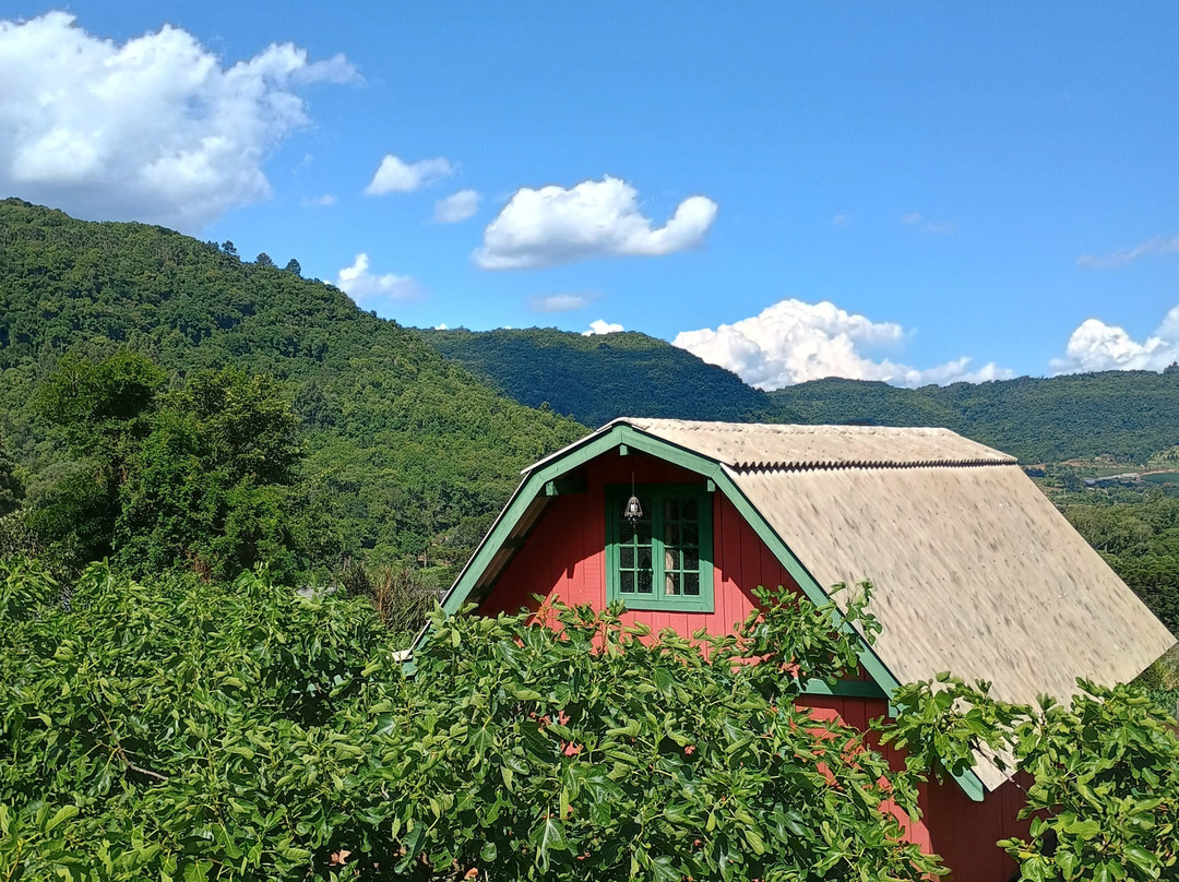 Casa Sander-Nova Petropolis必去景点