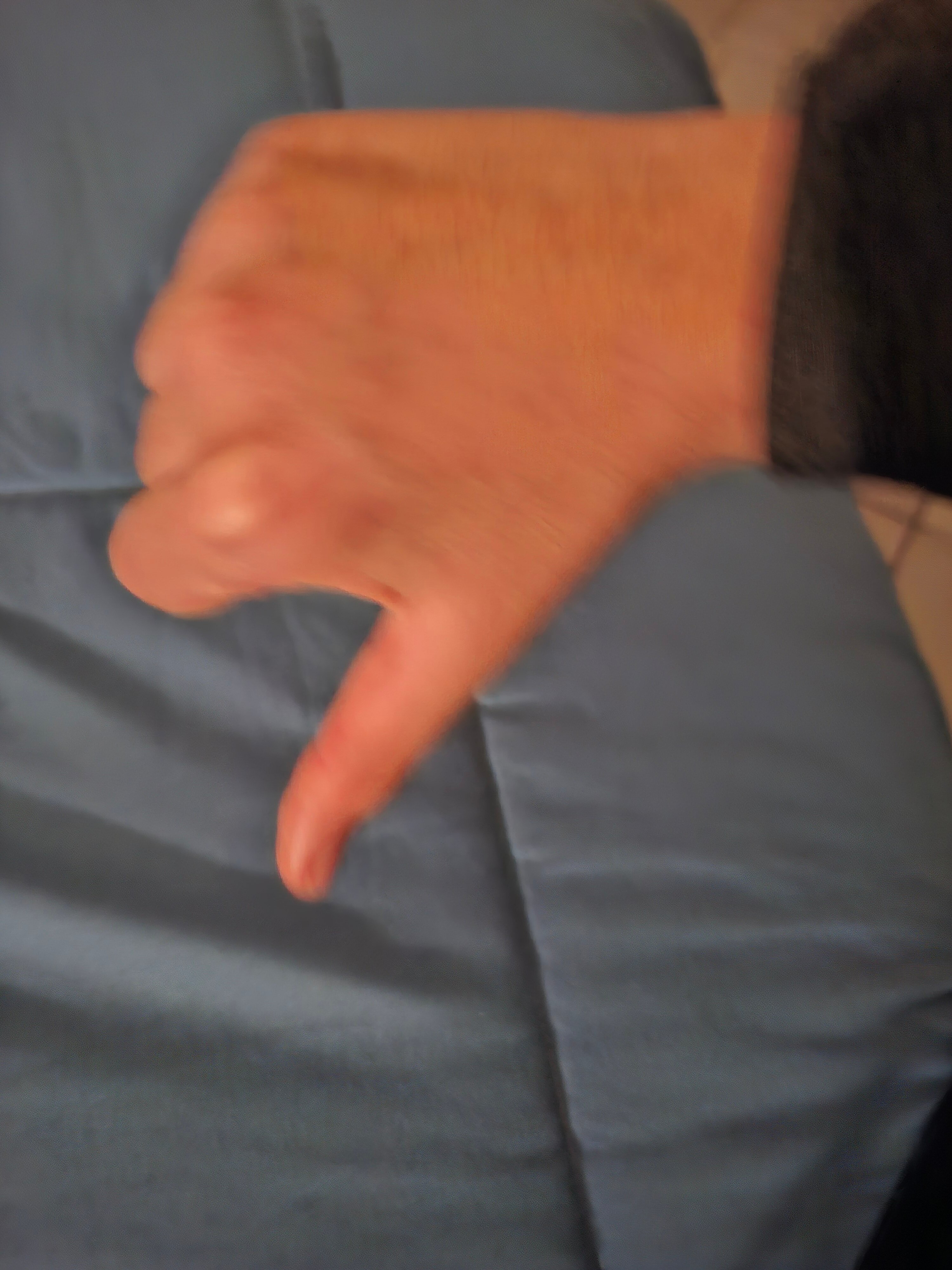 Albergo Ristorante La Noce-官方