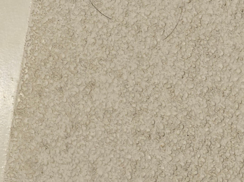 大草原城希尔顿Tru酒店主图