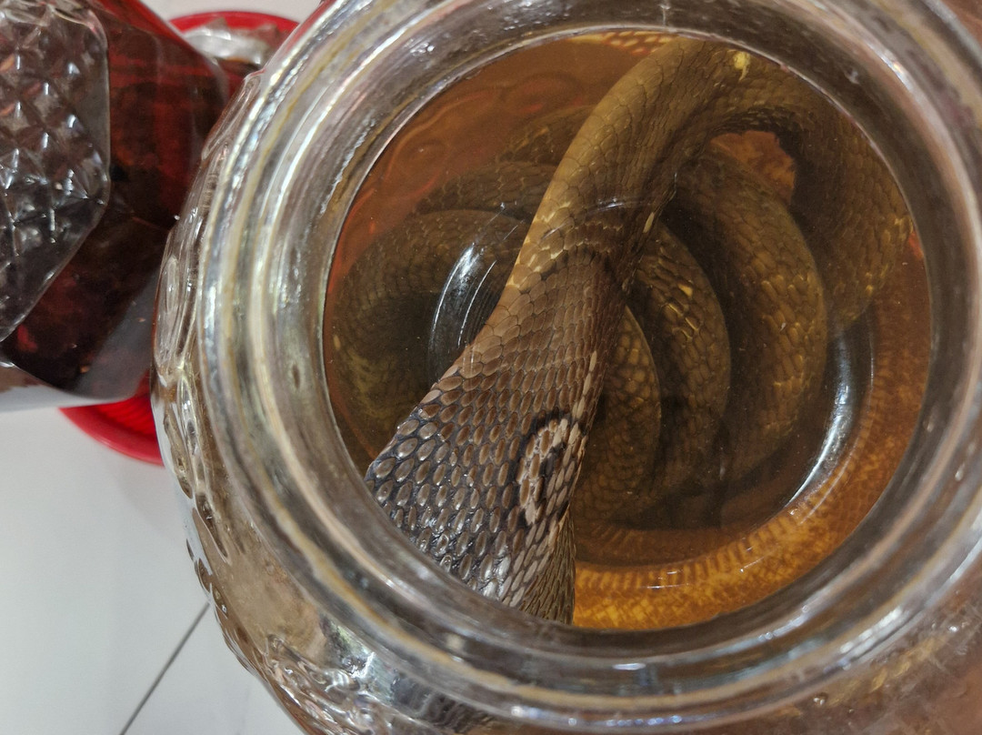 VietCruise Tours-胡志明市必去景点