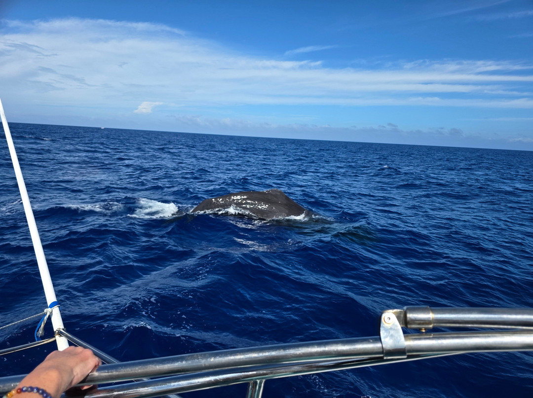 Adrien's Dream-弗力克昂弗雷克必去景点