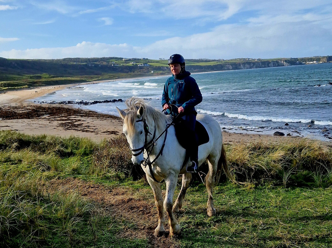 Bespoke Equestrian Ireland-都柏林必去景点