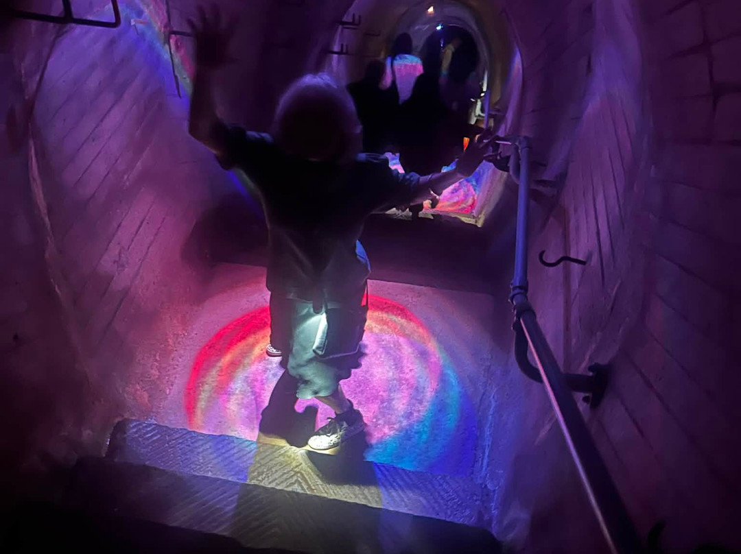 Stony Batter Tunnels-怀系奇岛必去景点