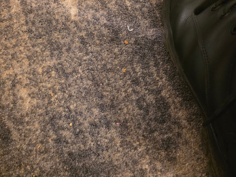 贝斯特韦斯特都市 SPA 酒店主图