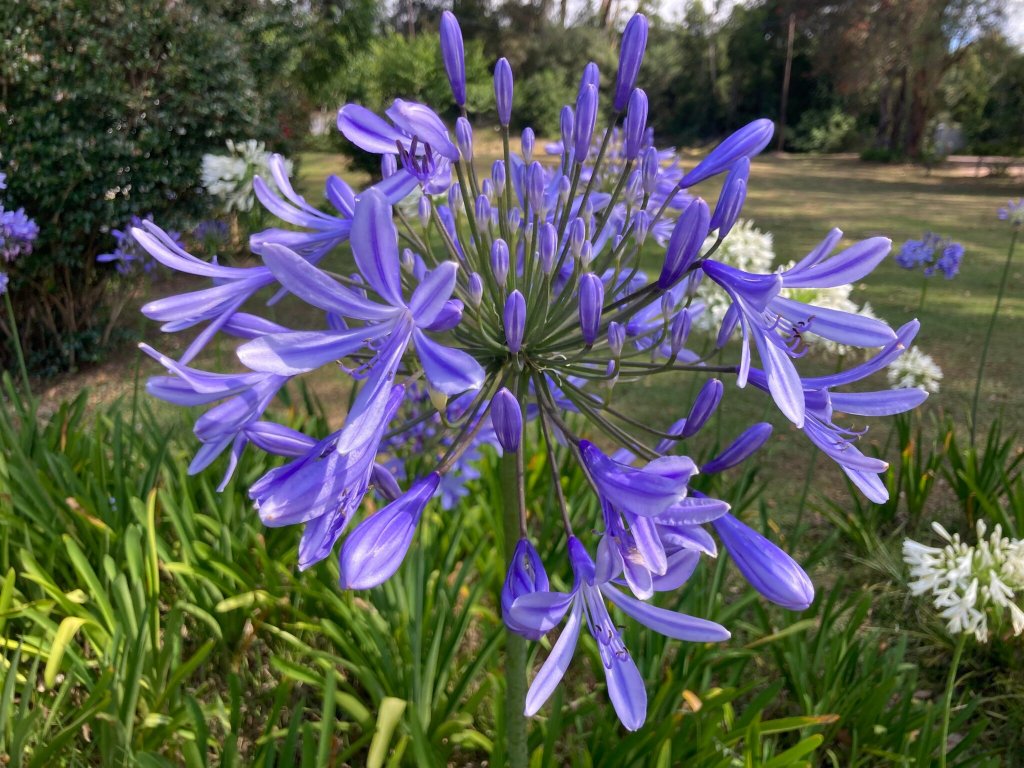 Edenbrook Country Manor-官方