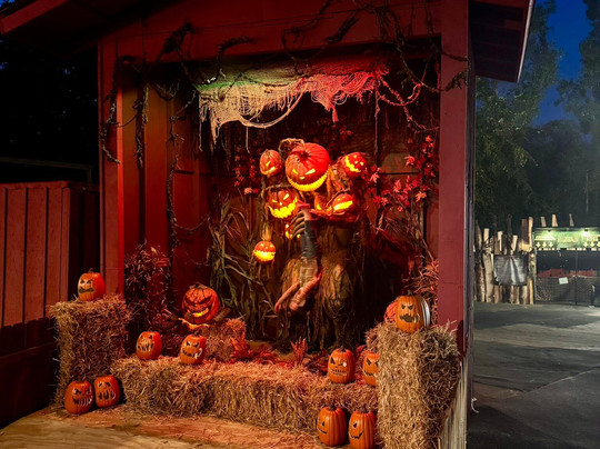 Niles Scream Park-Niles必去景点