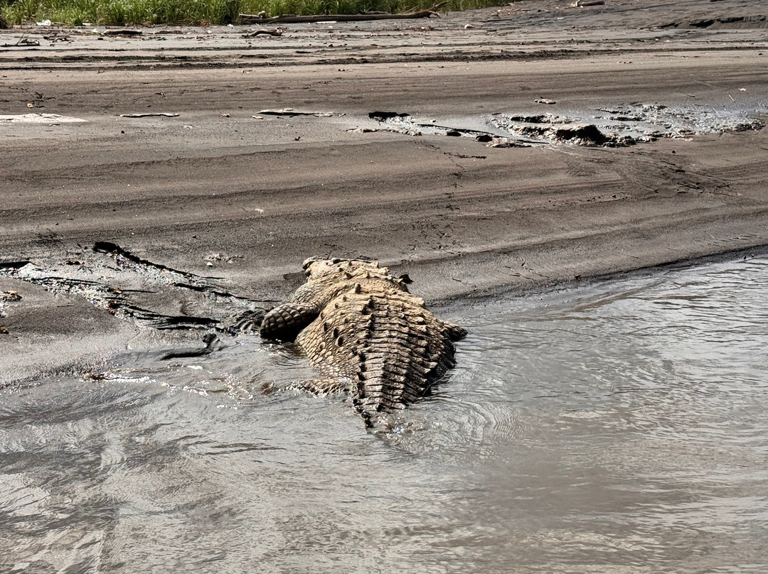 Alejandro Chaves Viquez Tour Guide-圣何塞必去景点