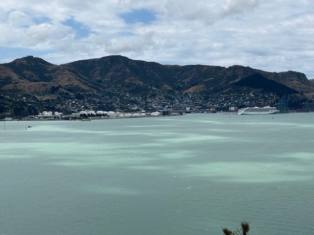 鹌鹑岛-基督城必去景点