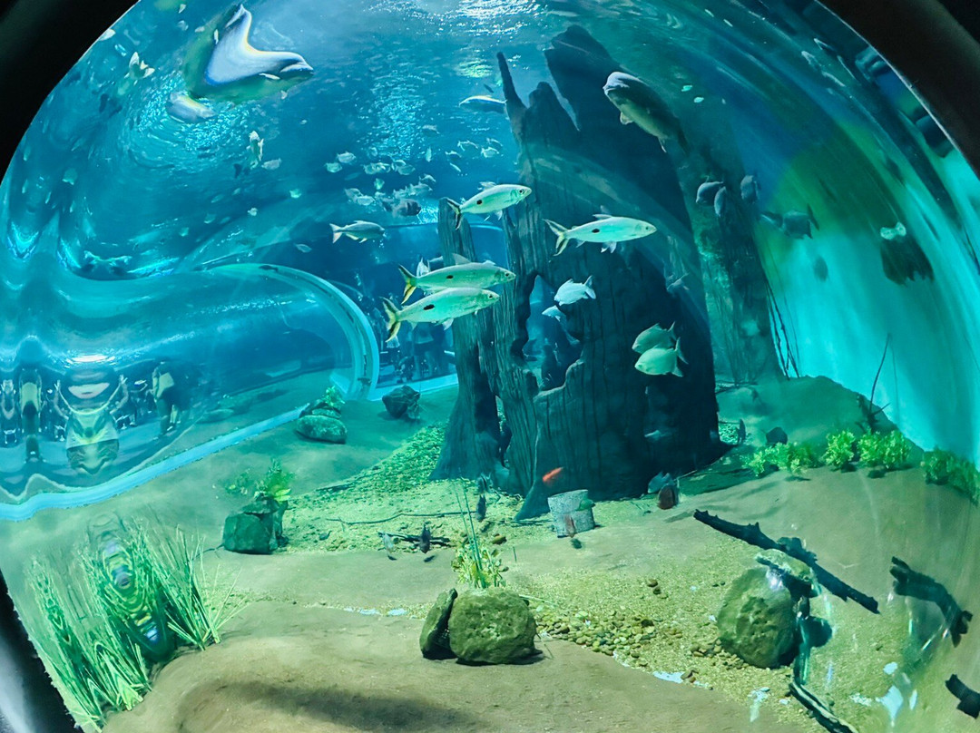 Bioparque Pantanal-大坎普市必去景点