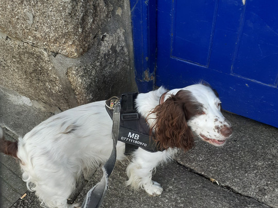 The Blue Anchor-赫尔斯顿必去景点