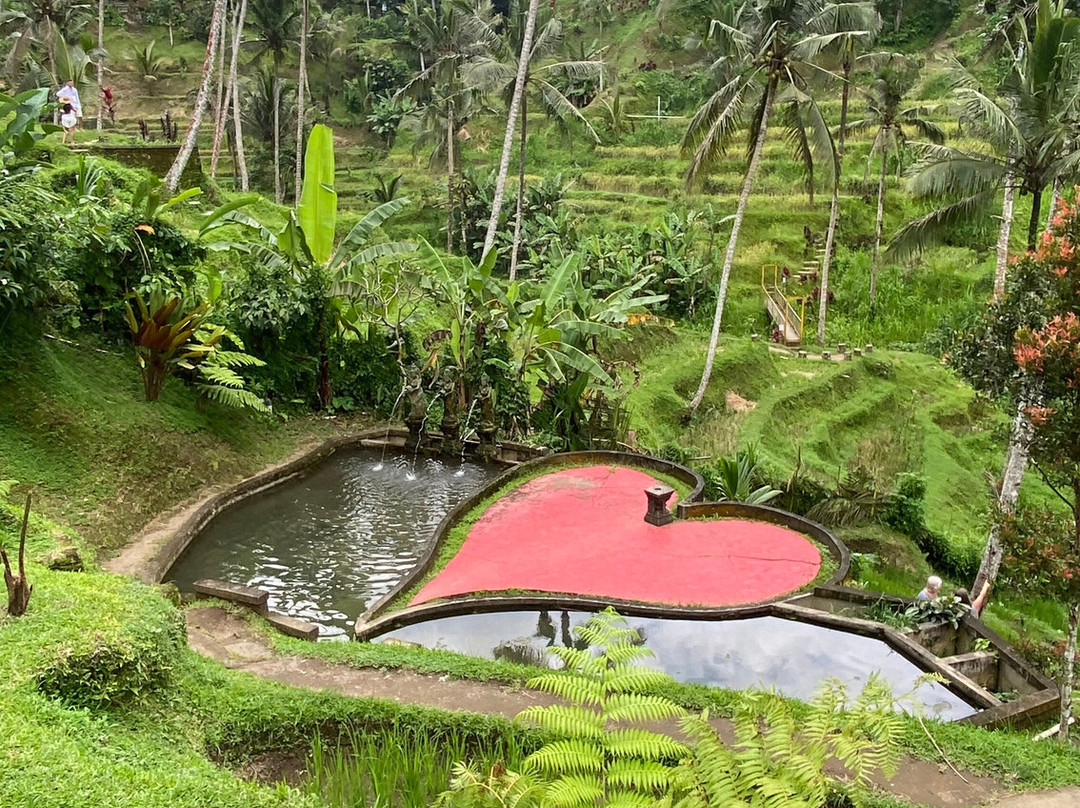 Bali Tour Buddy-乌布必去景点