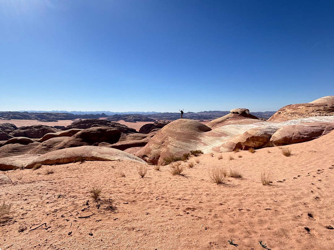 Wadi Rum Mars on Earth-Wadi Rum Village必去景点