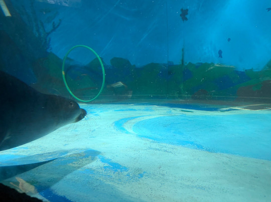 贝加尔湖湖泊学博物馆-利斯特维扬卡必去景点