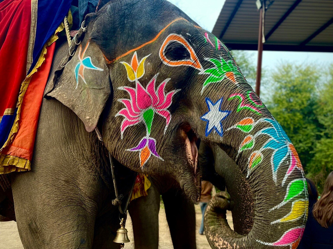 Tour Sultan-碧卡内必去景点