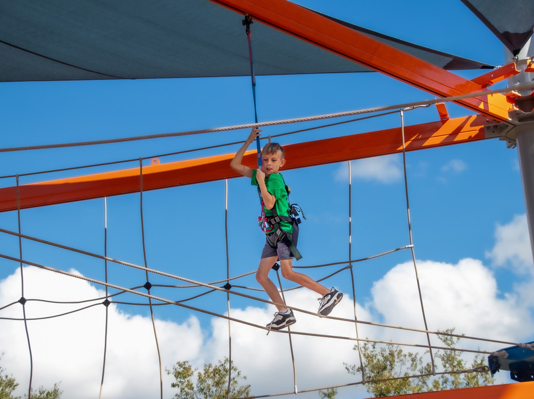 Shark Wake Park 561-西棕榈滩必去景点