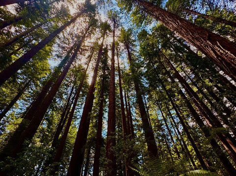 The Road Trip-奥克兰中心地区必去景点