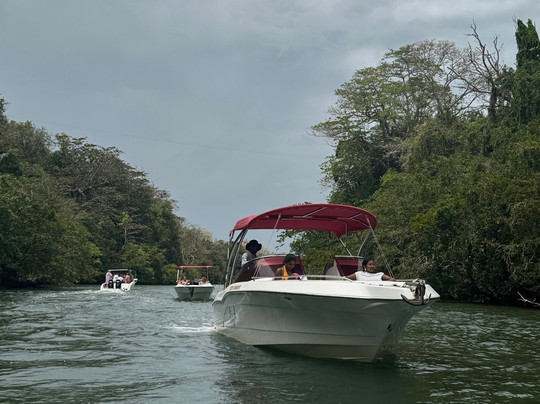 One Love Co Ltd.-毛里求斯必去景点