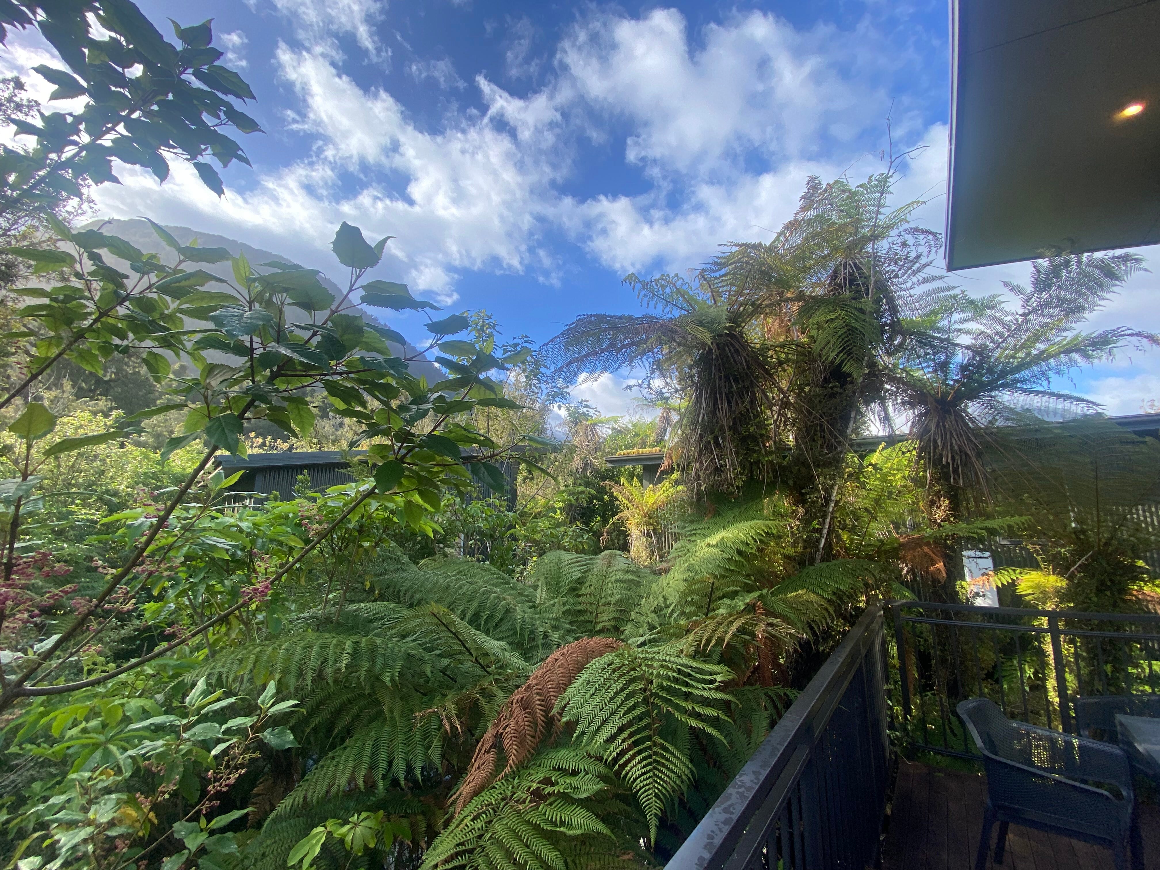热带雨林度假酒店-酒店景观