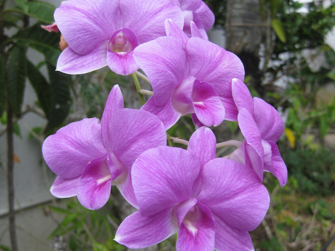 那霸Ryubo百货-那霸市必去景点