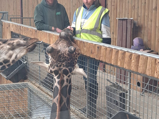 Wingham Wildlife Park-Wingham必去景点