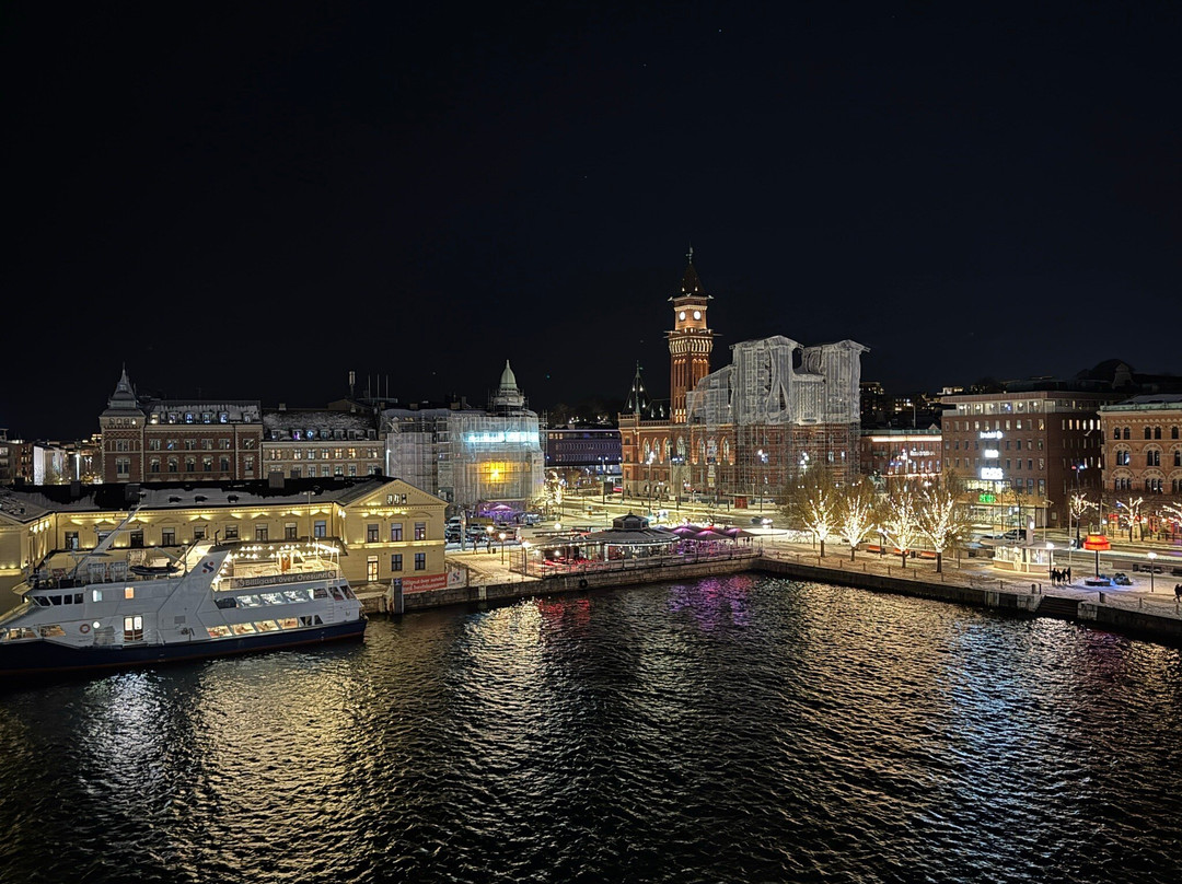 瑞典精英酒店主图