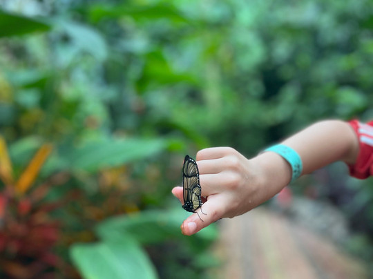 Mariposas de Mindo-明多必去景点