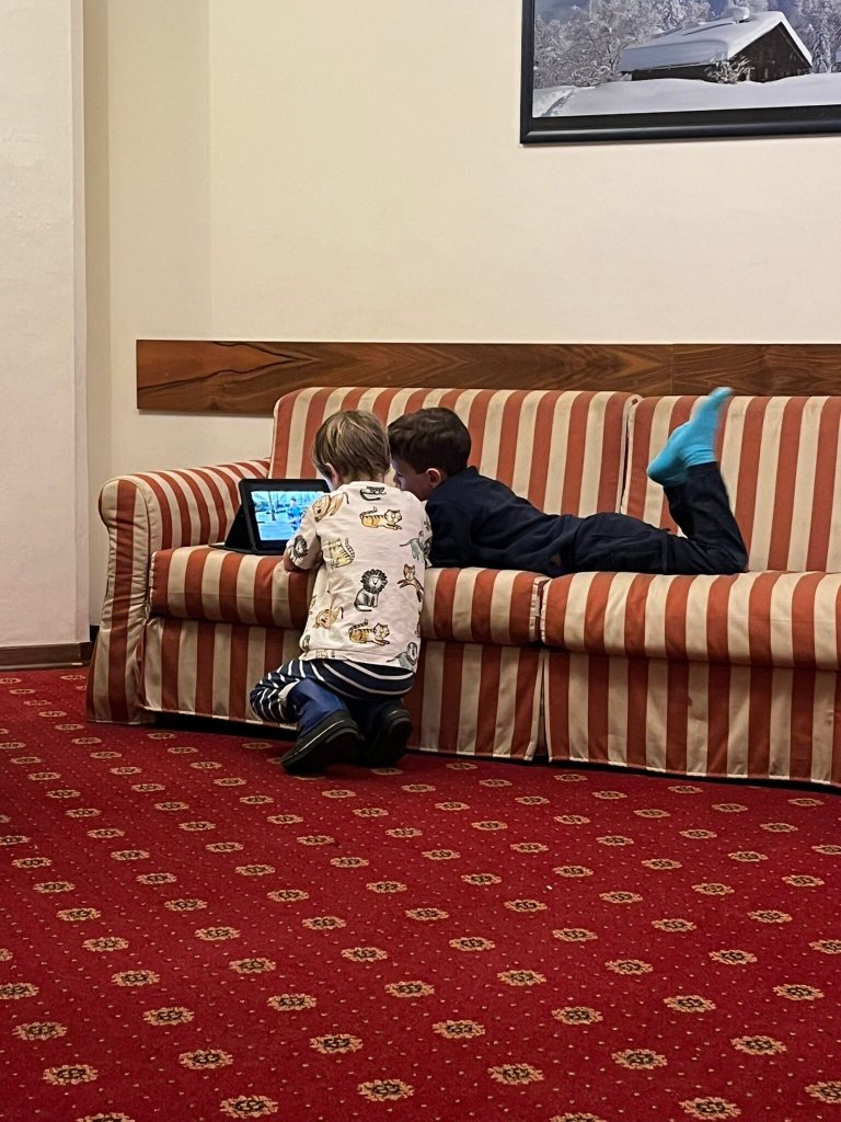 Hotel Relais Des Alpes-官方