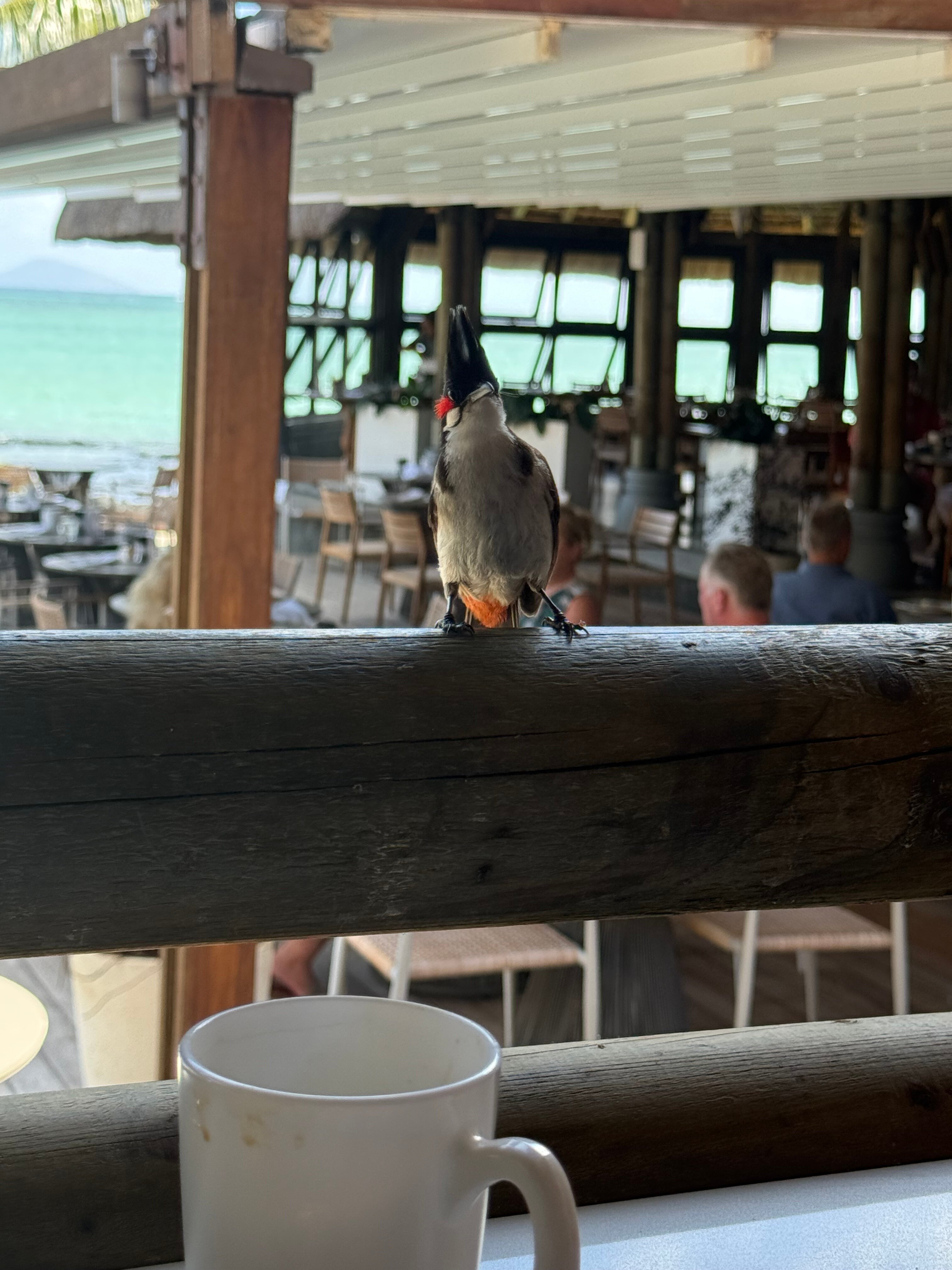 维兰达保尔·弗吉尼酒店及水疗中心-官方