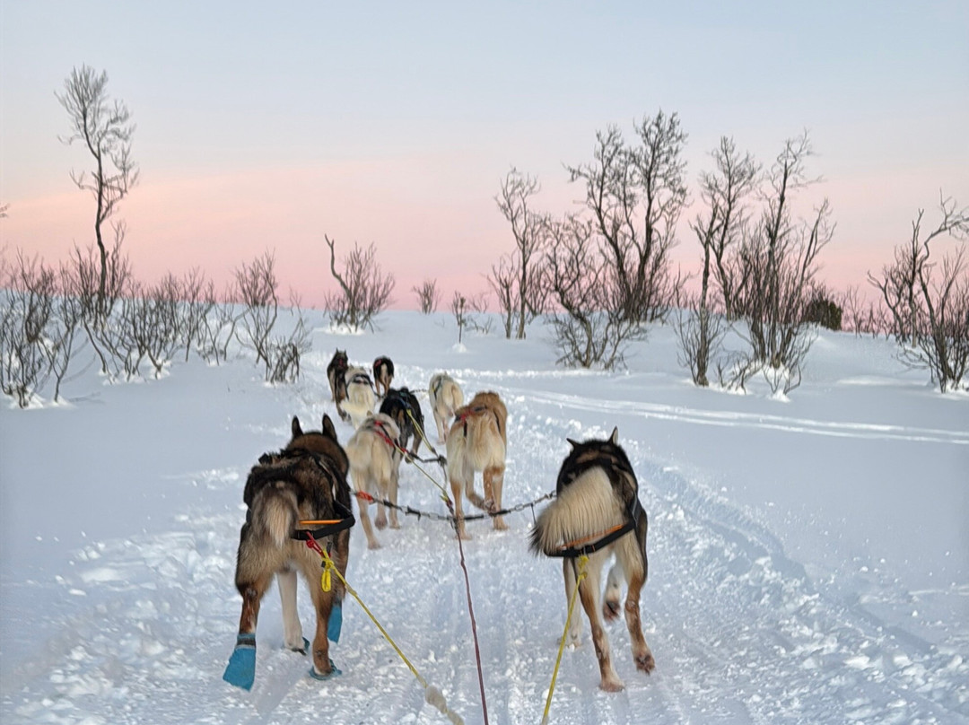 特罗姆瑟野外之旅-特罗姆瑟必去景点