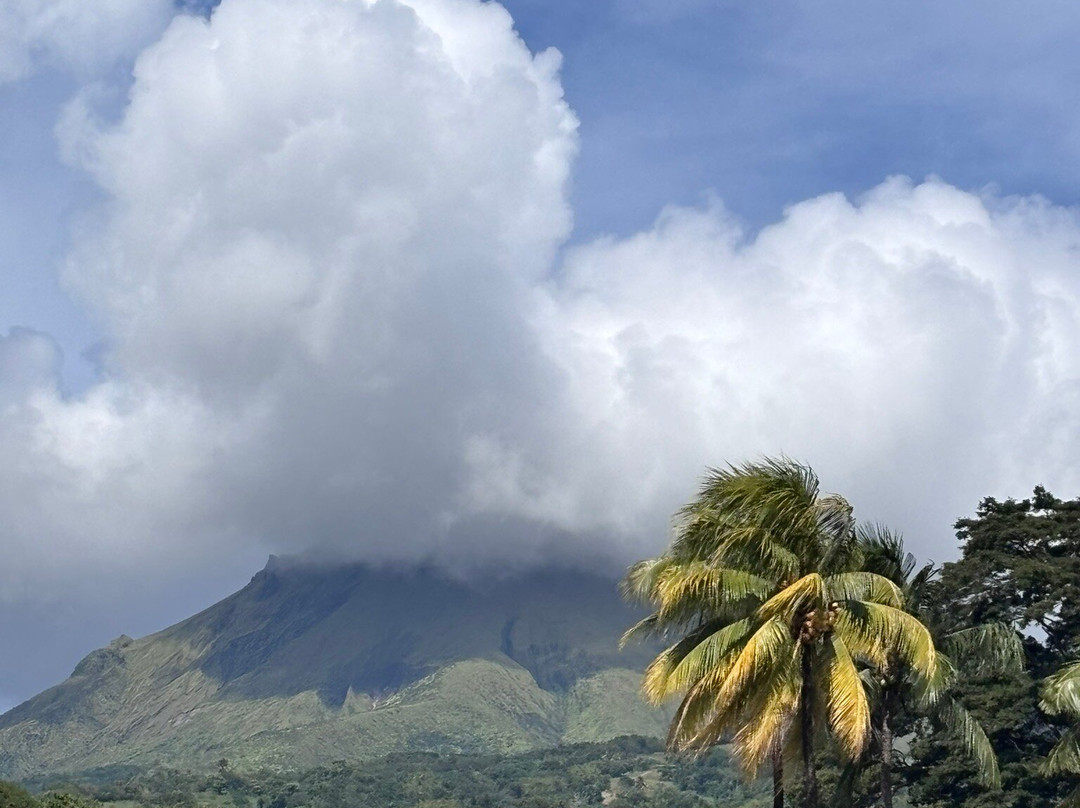 Distillerie Depaz-Saint-Pierre必去景点