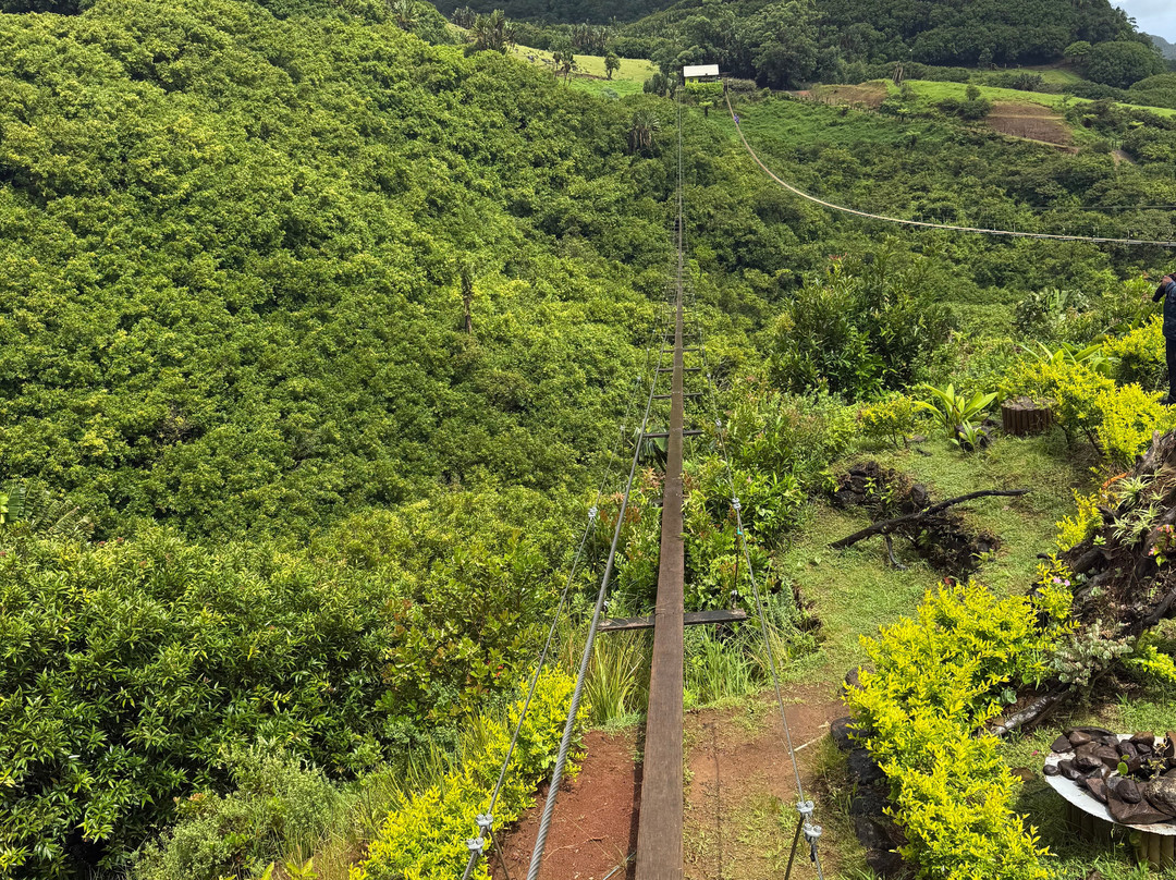 Vallé Advenature Park-Chamouny必去景点