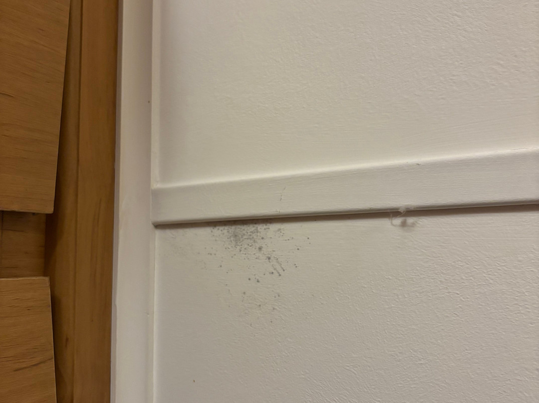 Bassenthwaite Lake-Bassenthwaite必去景点