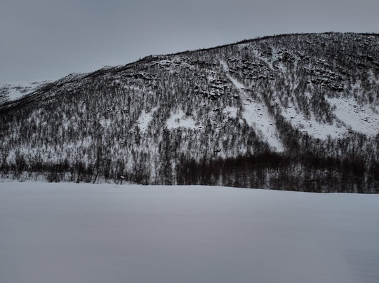 Kvaløya Husky-特罗姆瑟必去景点