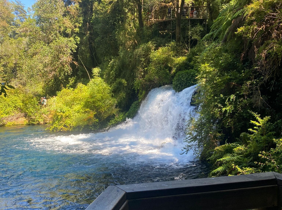 Parque Ojos del Caburgua-普孔必去景点