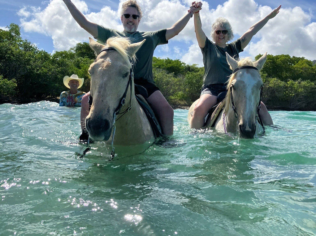 Equus Rides Horseback Riding St. Croix-Frederiksted必去景点