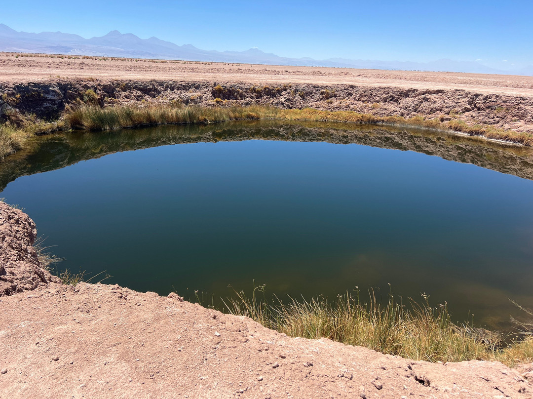 Ojos del Salar-圣佩德罗-德阿塔卡马必去景点