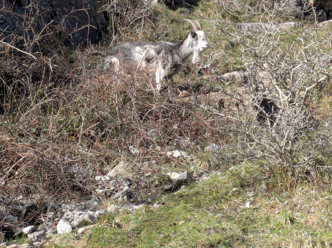Cheddar Gorge-Cheddar必去景点