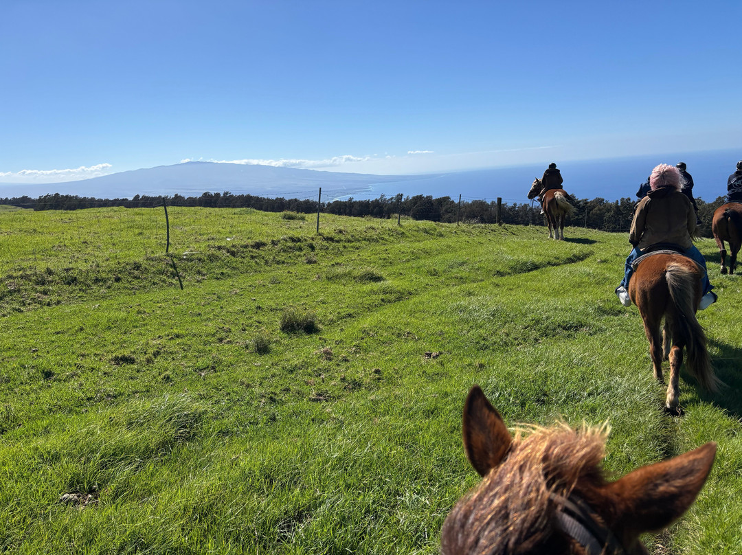 Na'alapa Stables - Kahua Ranch-卡慕也拉必去景点