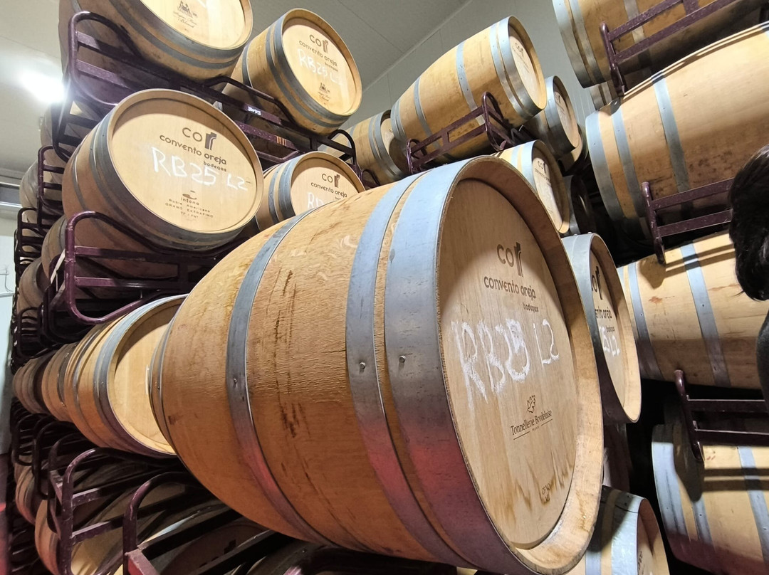 Bodega Convento Oreja-Penafiel必去景点