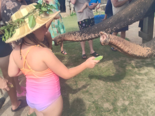 Thai Town of Elephant  Krabi-Nong Thale必去景点